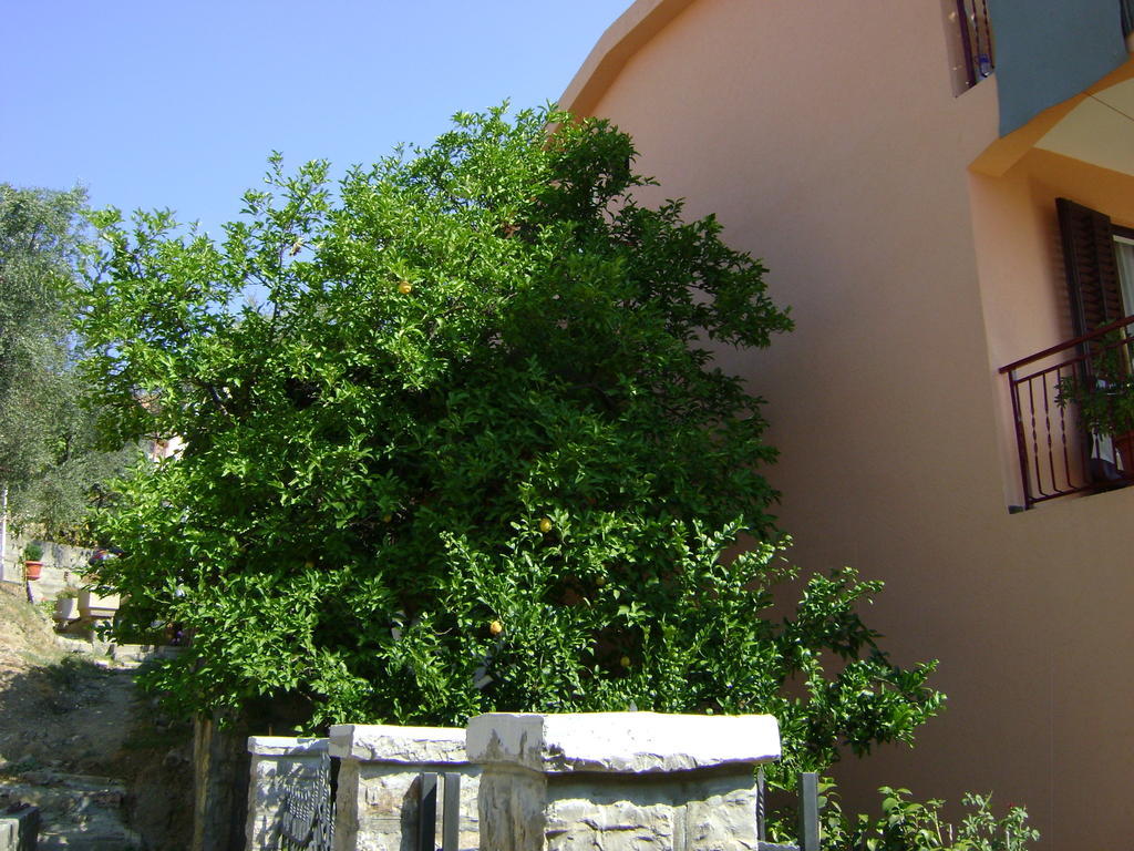 Apartments Kovacevic Petrovac Exterior foto